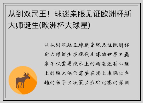 从到双冠王！球迷亲眼见证欧洲杯新大师诞生(欧洲杯大球星)