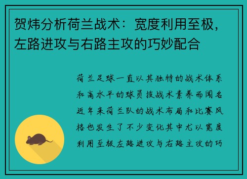 贺炜分析荷兰战术：宽度利用至极，左路进攻与右路主攻的巧妙配合